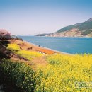 매봉삼거리~송촌 | 봄향기 그윽한 산으로