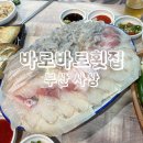 ［바로바로횟집］ 부산 사상 회맛집 횟집 추천 후기