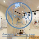 금비펫살롱 이미지