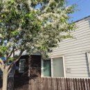 진해현 호적 이미지