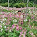 선달산민박 이미지