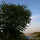 올바른 농원 이미지