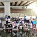 남강하천1 이미지