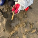 석양의추억펜션 | 마검포펜션 태안 수선화펜션 갯벌체험 후기