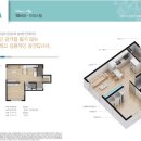 다온미즈 이미지