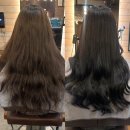 살롱드엘렌 - 동구 | 왕십리 미용실 살롱드엘 손상모도 가능한 복구염색 솔직후기 텐즈힐 미용실 추천