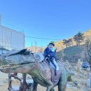 공룡풀빌라펜션 | 단양 펜션 오무아무아 풀빌라 이용 후기(+ATV 팜투어, 카페까지)