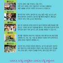 종이야종이야 Daum카페