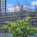 동광종합건설 주식회사 이미지