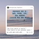 이로운 동물약국 | 마운자로의 모든 것: 효과, 부작용, 가격, 당뇨 치료까지 (2025년 최신 정보 총정리)