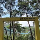 랜선트래킹: 걷고 싶은 한국의 아름다운 산길 | 하늘 위를 걷는 기분! 원주 출렁다리(소금산 그랜드밸리)