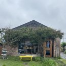 분동농장5 | [제주 동쪽 2박3일] 비오는 날의 제주는 : 브라보커피웍스, 갈치공장, 올티스 티클래스, 비밀의 숲...