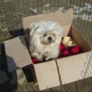 홍익약국 이미지