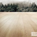 자연의 미학 이미지