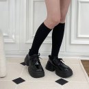 497 이미지