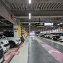 보트리샤 | 대구롯데백화점 보트리샤 루시도르 후기