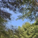 연신내역3번출구앞 범서쇼핑 이미지