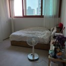 왕자고무상회 | [방꾸미기] 맥시멀리스트의 4평방꾸미기 드디어 완료. 랜선집들이 오시라요 (말 개많음)