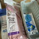 올젠바이오