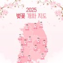 2025년 벚꽃 개화 지도 이미지