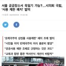 [서울] 국민의힘, ‘욱일기 허용’ 발의 이미지