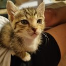 아리행정사 | 법무사 실무 연수 제5주차 후기 - 언제나 새로운 친구는 좋아