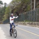 정모 Daum카페
