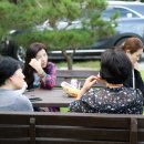 홍천강 이야기 이미지