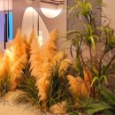 수정역 5번 출구 앞 | 화명동 대기구 필라테스 체형/교정전문 수정역 플로라 필라테스 첫방문 #1