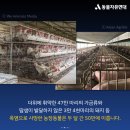 서명농장 이미지