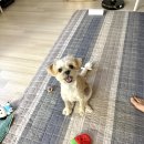 주식회사 자바이오 | 나의 모든 하루를 바꿔