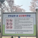 은빛어린이공원 이미지