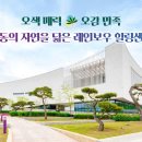 레인보우 힐링센터 티스토리