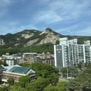 진해문화센터(구민회관) | 노원문화예술회관 / 인상파, 찬란한 순간들 전시 후기