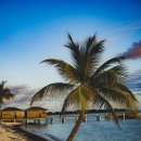 좋은친구들 이미지