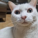 르엘동물의료센터 이미지