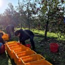 신동읍행정복지센터 이미지