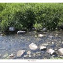 와이글램핑 이미지