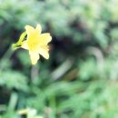 노브랜드 강서 마곡점 이미지