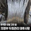 세븐일레븐 의정부녹양키움점 | 의정부 두피관리 태후사랑, 푸석한 모발 고민 끝