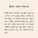 친절한은주씨 | 포토부스, 고기집 추천 연남제비, 프토맛집 조앤도슨 후기, 수지구청 맛집 미가훠궈, 수작, 김과장고깃집)