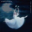 광주시립발레단 제135회 정기공연 이미지