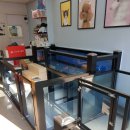 화이트펫# 이미지