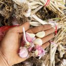 대붕농장 이미지