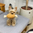 천일세탁 이미지