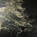 시립미술관(팔각정) 이미지