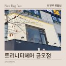 수석카인테리어 | 의정부 미용실 :트리니티헤어 금오점 :내돈내산 카나토 클리닉 후기