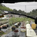 블루베리 가족 독채펜션 이미지