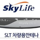 스카이오토 이미지