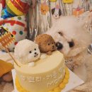 소심유치원 이미지